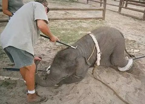 为与不为，站在天平两端的统一体