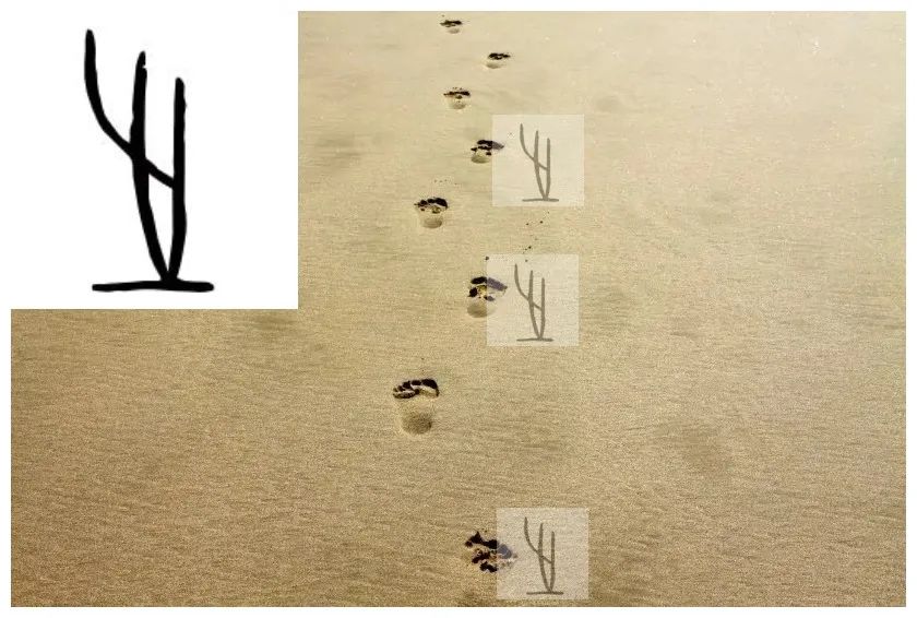 甲骨文字典（更新至0602）